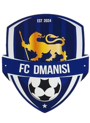 德马尼西 Logo