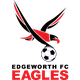 埃奇沃斯老鹰 Logo