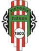 薛斯高夫U19 Logo