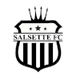 萨尔塞特 Logo