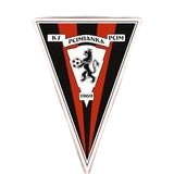 普齐姆 Logo
