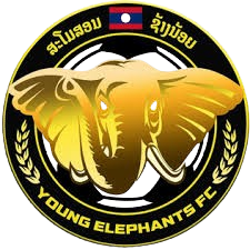 小象女足 Logo