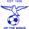 蓝色沃特斯FC Logo