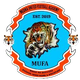 麦地那联队FC Logo