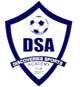探索SA Logo
