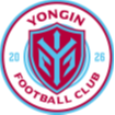 龙仁FC Logo