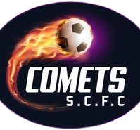 南区彗星 Logo