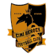 埃米英雄女足 Logo