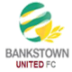 班克斯联队 Logo