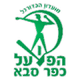 法萨巴夏普尔 Logo