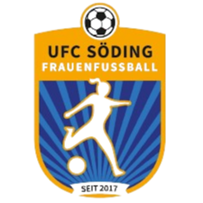 UFC 索丁 Logo