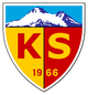 开塞利女足 Logo