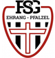 普法尔泽尔 Logo