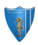 萨尔提斯 Logo