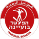 夏普尔工人 Logo