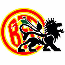 圣保罗兄弟女子U20 Logo