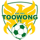 图旺 Logo