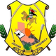拉科鲁尼亚体育 Logo