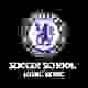 切尔西SSHK女足 Logo