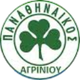 帕纳格里亚科斯 Logo