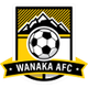 瓦纳卡AFC Logo
