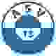 ASV维也纳 Logo