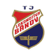 TJ洛科莫蒂娃 Logo