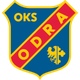 奥波莱 Logo
