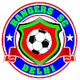 德里流浪者女足 Logo