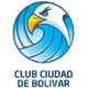 博利瓦尔 Logo