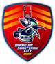 苏拉特他尼城FC Logo