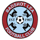 巴德索利 Logo
