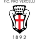 维塞利青年队 Logo