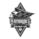 飞逸湾地铁女足 Logo
