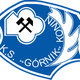 戈尔尼克科宁 Logo