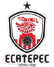 埃卡泰佩克FC Logo