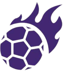 阿拉迪那奴 Logo