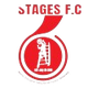 舞台皇后女足 Logo