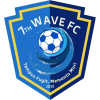 第七浪潮 Logo