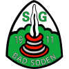 巴德索登 Logo
