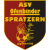 斯帕特则恩 Logo