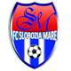史洛布兹亚 Logo