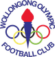 卧龙岗奥运 Logo