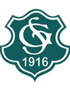 斯凯恩 Logo